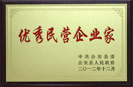 2012年優(yōu)秀民營企業(yè)家