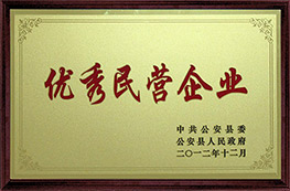 2012優(yōu)秀民營企業(yè)