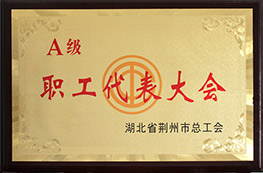 荊州市總工會授予我司荊州市“A級職工代表大會”的稱號