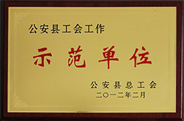 2011年度公安縣工會工作示范單位