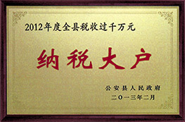2012年度全縣稅收過(guò)千萬(wàn)元納稅大戶(hù)企業(yè)