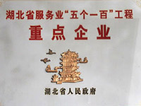 省服務(wù)業(yè)“五個一百”名單公布，我公司名列其中